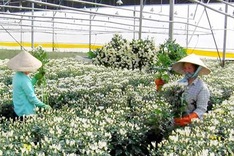 Ministry wants hi-tech agriculture zones