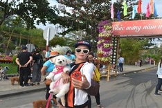 Dog beauty contest to be held in Nha Trang