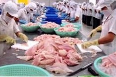 FTA to help Vietnam penetrate the EU market