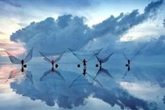 APEC 2017 Photo Contest winners announced