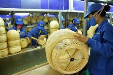 Southern region leads in green growth action plans