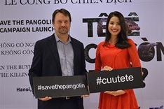 WildAid leads fight to save Pangolins