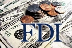 January sees 37 FDI projects licensed