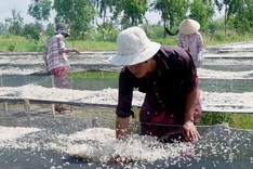 Ca Mau to relocate those living in vulnerable areas