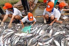 Tra fish recognised by Sweden and Denmark