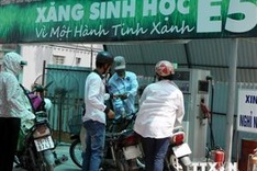 Quang Ngai takes the lead in bio-fuel E5 sales