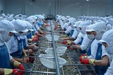 Vietnam opposes US shrimp subsidy lawsuit