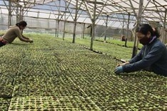 Forum seeks ways to develop safe food production