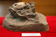 More prehistoric remains found in Krong No volcanic caves