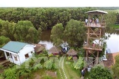 Tràm Chim park needs better water, fire management to conserve eco-system: experts