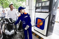 Petrolimex division proposed to avoid monopoly