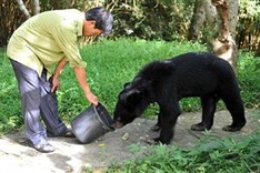 Workshop discusses genetic resources