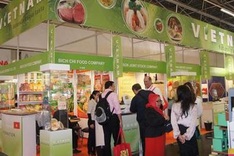 Lack of foreign language skills disadvantages Vietnamese firms