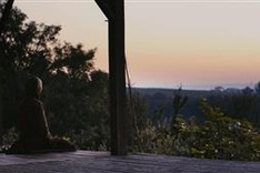 Vietnamese monk film hits screens