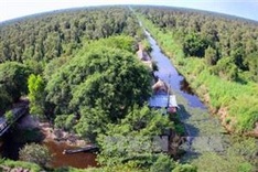 Delta braces for forest fires