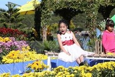 Da Lat flower festival kicks off with myriad of activities