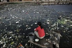Polluted water kills thousands year