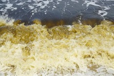 Danang sea turns black