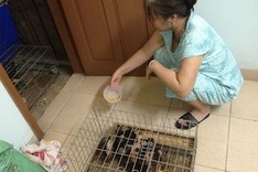 Office workers moonlight during difficult times