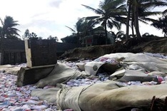 Hoi An seeks government help to protect Cua Dai Beach