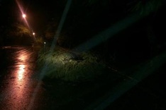 Typhoon Kalmaegi hits northern coastal areas