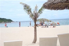 A day on Cham Island