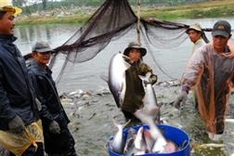 2013 - a booming year for Vietnamese exports to US