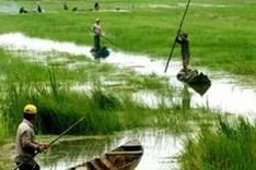 Denmark helps Mekong Delta province deal with climate change