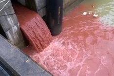 Ha Tinh authorities dispel Formosa polluted discharged water rumour