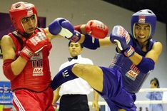 Vietnamese muay team wins 3 golds in Asian champs