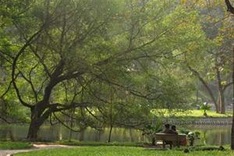 Hanoi outlines plans to develop green metropolis