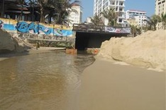Đà Nẵng fines polluting project owner