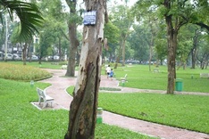 Hanoi People’s Council vows to protect park area