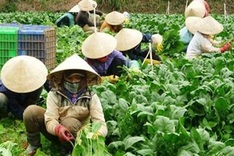 Economy slows, forcing re-think on ‘inclusive growth’