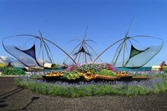 HCM City’s 1st permanent flower market to open