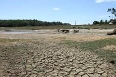 Post-2015 Support Programme to Respond to Climate Change discussed