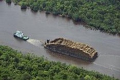 China, US, Qatar singled out on 'Earth Overshoot Day'