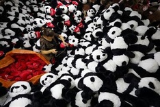 China manufacturing activity slows in December