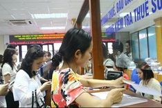 More businesses use loopholes for tax evasion