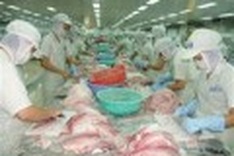 VASEP to set single tra fish floor price
