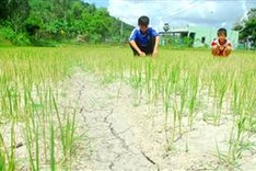 UNICEF supports Vietnam improve sanitary conditions