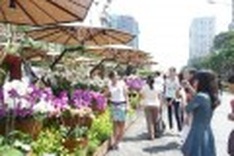 USD24,162 raised for poor patients at Flower Street