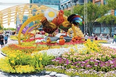 HCM City to open largest flower street yet for Tet
