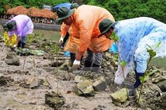 UNHRC passes climate change resolution co-created by Vietnam