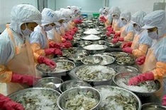 New rules require fish and fishery processors to eCertify