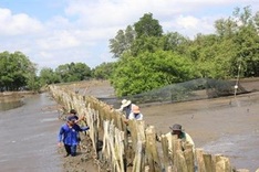 Community role in mangrove forest management