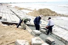 Strategic climate change policies needed