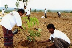 Rubber Group defends Laos, Cambodia ops