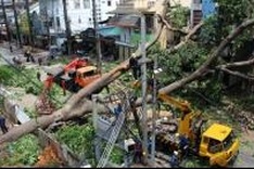 HCM City may suffer more storms in the future: expert