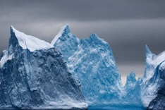 Drilling discovers ancient Antarctic rainforest
